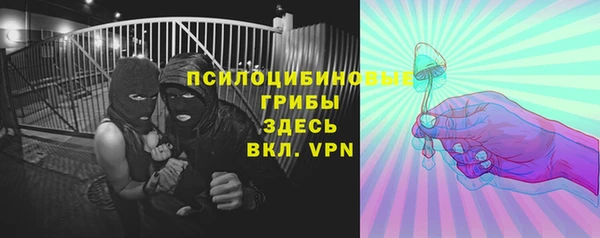 гидропоника Алзамай