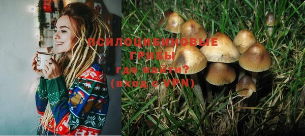 сатива Остров