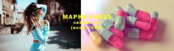 амф Алексин