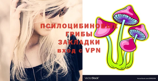 амф Алексин
