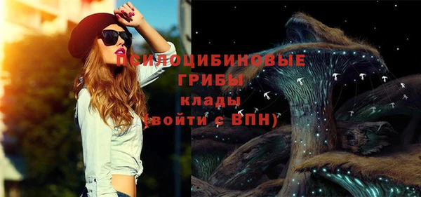 гидропоника Алзамай
