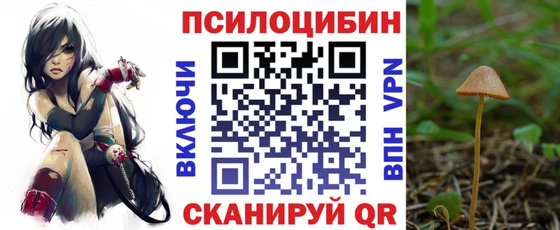 Галлюциногенные грибы ЛСД  Новокубанск 