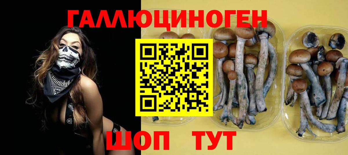 Псилоцибиновые грибы Magic Shrooms  Вход с VPN  Новокубанск 